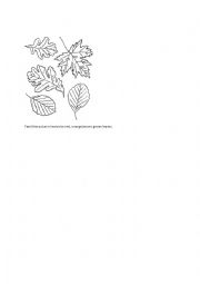 English Worksheet: autumn leaves