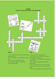 English Worksheet: Fungi crossword