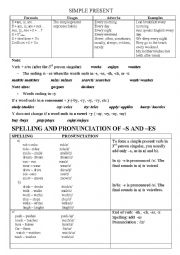 English Worksheet: simple present