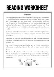 English Worksheet: Reading Worksheet 