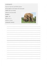 Writing about elephants