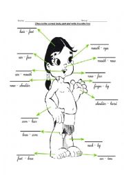 English Worksheet: Body parts