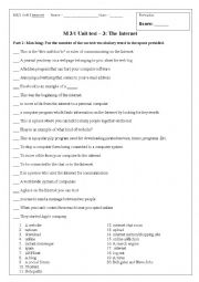 English Worksheet: Internet unit test