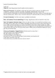 L and R Pronunciation Lesson Plan (includes bingo cards!)