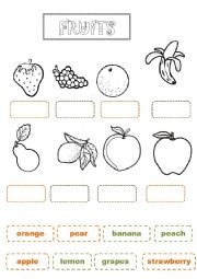 English Worksheet: fruits