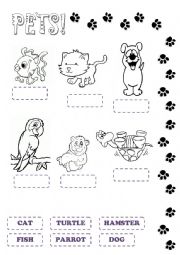 English Worksheet: pets!!!