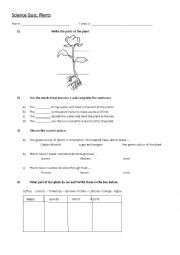 English Worksheet: Plants