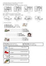 foods and wh questions