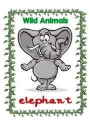 English Worksheet: wild animals flashcards