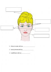 English Worksheet: Parts of the face