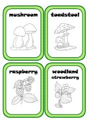 English Worksheet: Forest Plants Part 2(3)