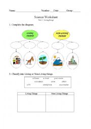 English Worksheet: Worksheet Living things