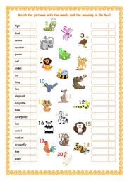 English Worksheet: Animals