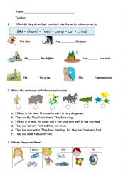 English Worksheet: Review Simple Present, Clothing and possessive adjectives