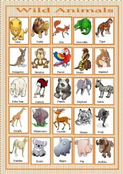 English Worksheet: wild animals pictionary