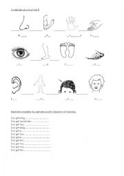 English Worksheet: Body parts