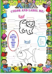 English Worksheet: Cat and Fish Body Parts