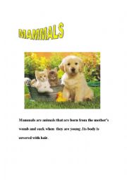 English Worksheet: MAMMALS