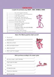 English Worksheet: Review exercises on Wh- words for beginners