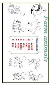 English Worksheet: Animals