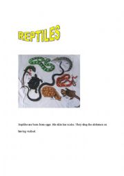 English Worksheet: REPTILES