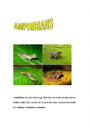 ANPHIBIANS