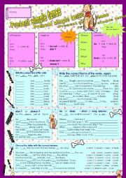 English Worksheet: present simple tense