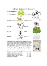 English Worksheet: Animals and Plants from the Desert