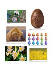 English worksheet: Easter Lesson Plan