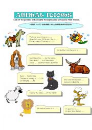 ANIMAL IDIOMS