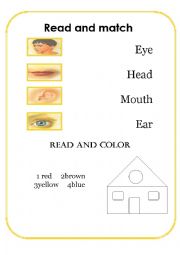 English worksheet: body parts