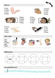 English Worksheet: body parts