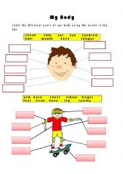 English Worksheet: Parts of the Body