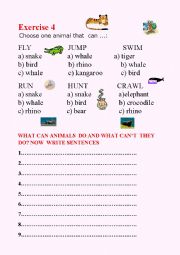 English Worksheet: What can wild animals do?