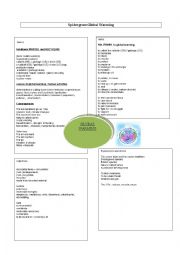 English Worksheet: vocabulary to speak about global warming 