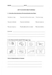 English worksheet: Animal groups