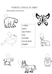 English worksheet: animals matching activity