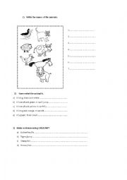 English Worksheet: Animals (test)