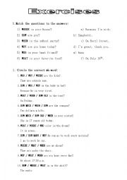 English Worksheet: WH-questions