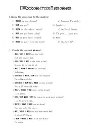 English Worksheet: WH-questions