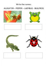 English worksheet: Animals