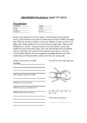 English worksheet: Arachnids - Spider Worksheet