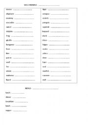 English worksheet: Wild animals