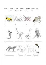 English worksheet: Some (less) Basic Animals