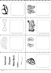 English Worksheet: Internal Organs Mini Book