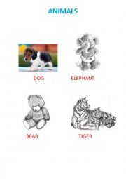 English worksheet: animals