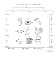 English Worksheet: Body parts