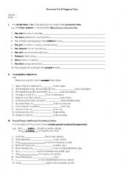 English Worksheet: grammar test for beginner