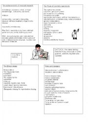 English Worksheet: human cloning : an ethical debate 