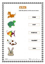 English Worksheet: Pet Animals